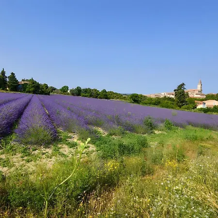 En Drome Provencale
